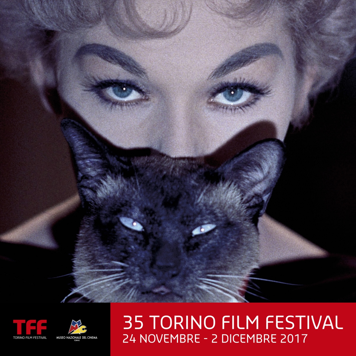 35° Torino Film Festival
